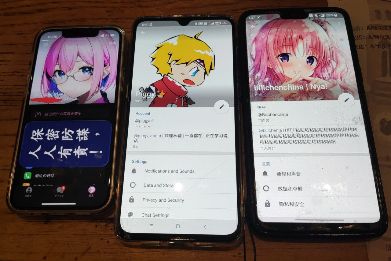 三個人的 Telegram 帳號合照